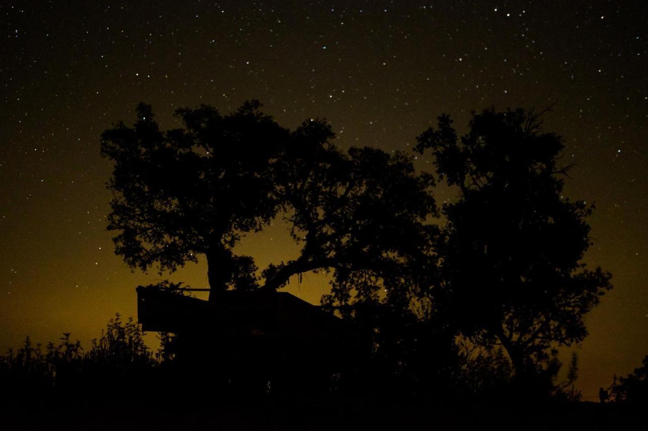 Herdade Do Rio Torto Portel Exteriör bild