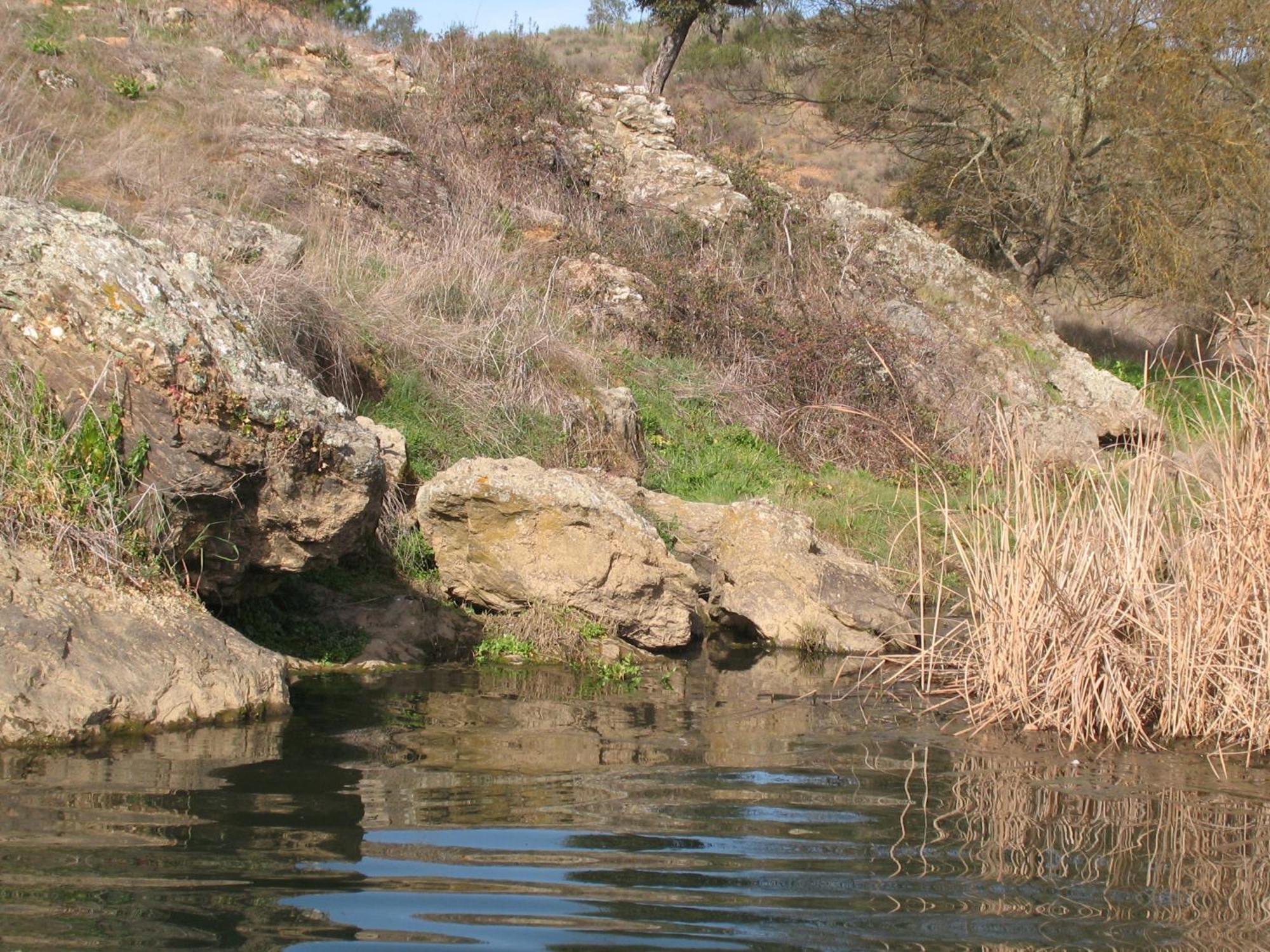 Herdade Do Rio Torto Portel Exteriör bild