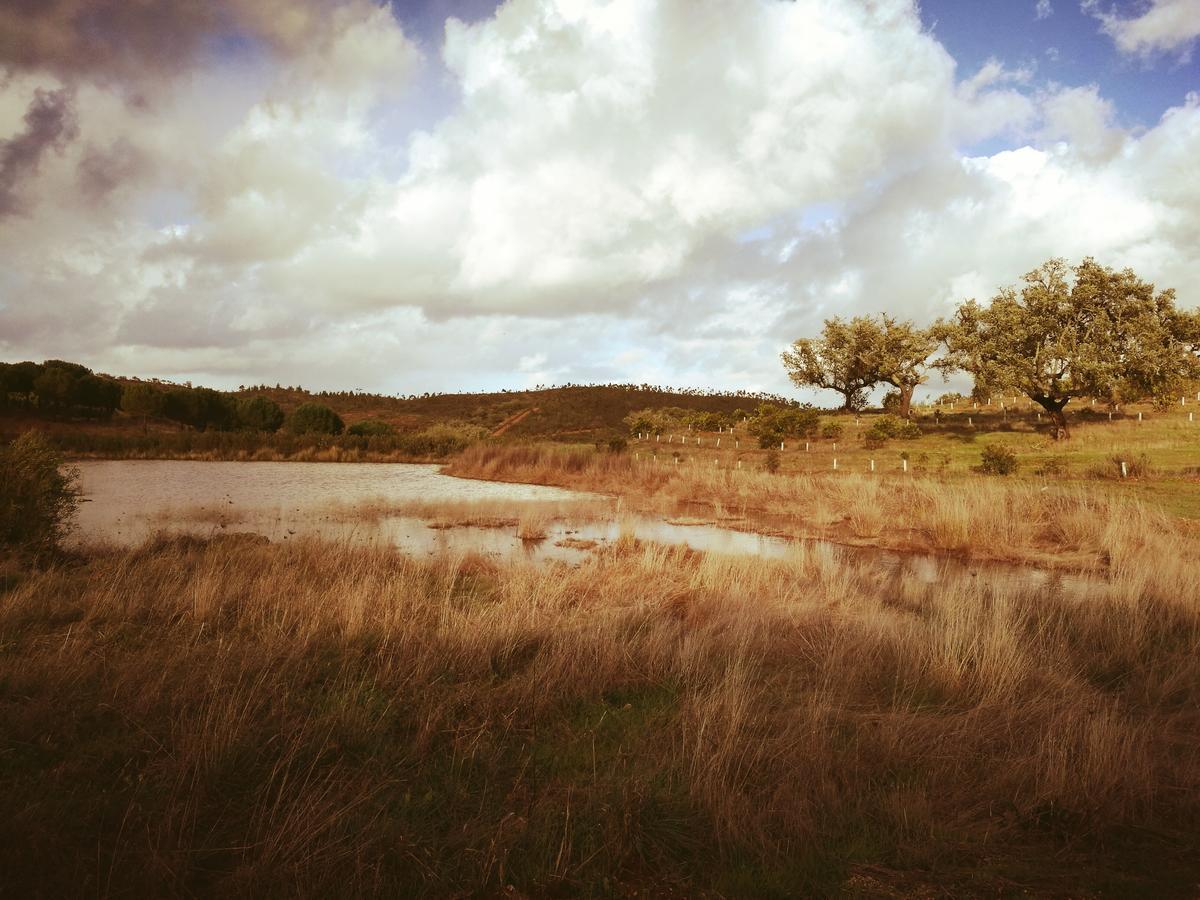 Herdade Do Rio Torto Portel Exteriör bild