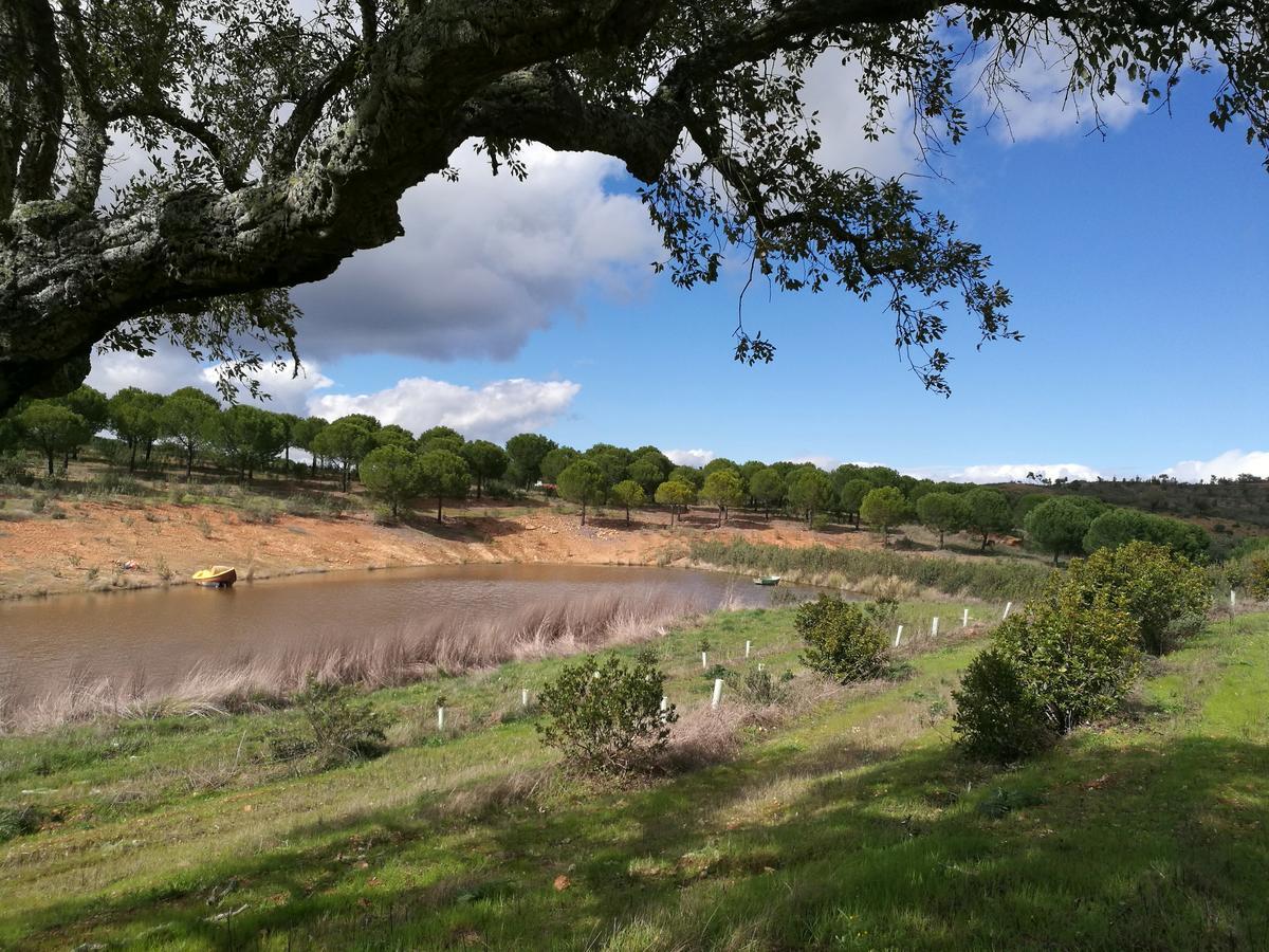 Herdade Do Rio Torto Portel Exteriör bild